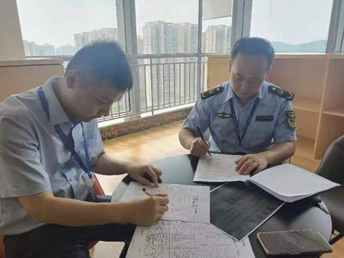 南充市顺庆区启动人力资源市场秩序专项整顿 严查职业中介违规行为