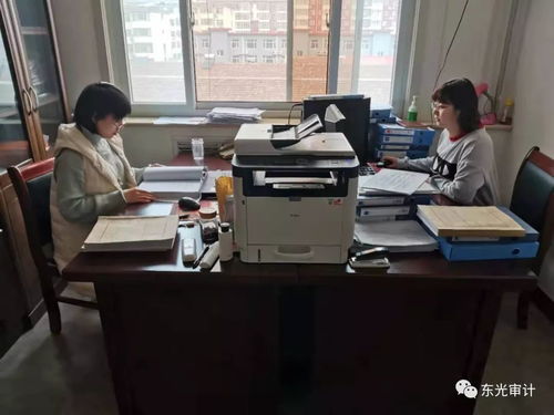 东光县审计局2020年1月第二周工作动态聚焦职业中介活动监管成效